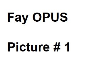 fay opus